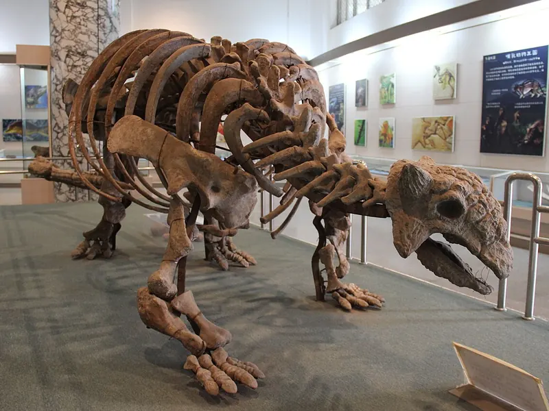 Mounted Ankylosaurus skeleton with its tail club, in a museum gallery