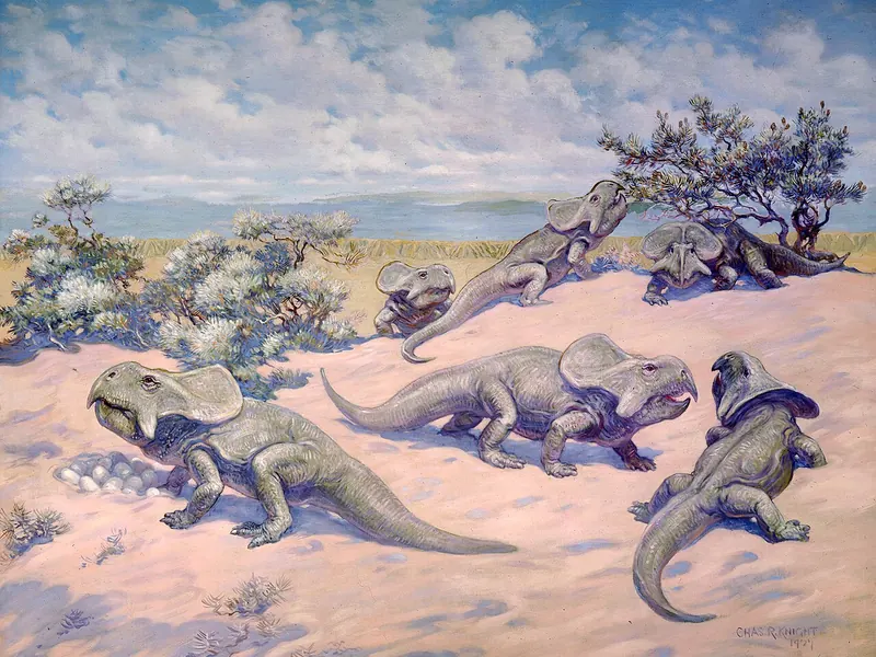 Charles R. Knight painting of Protoceratops at their nests in the desert